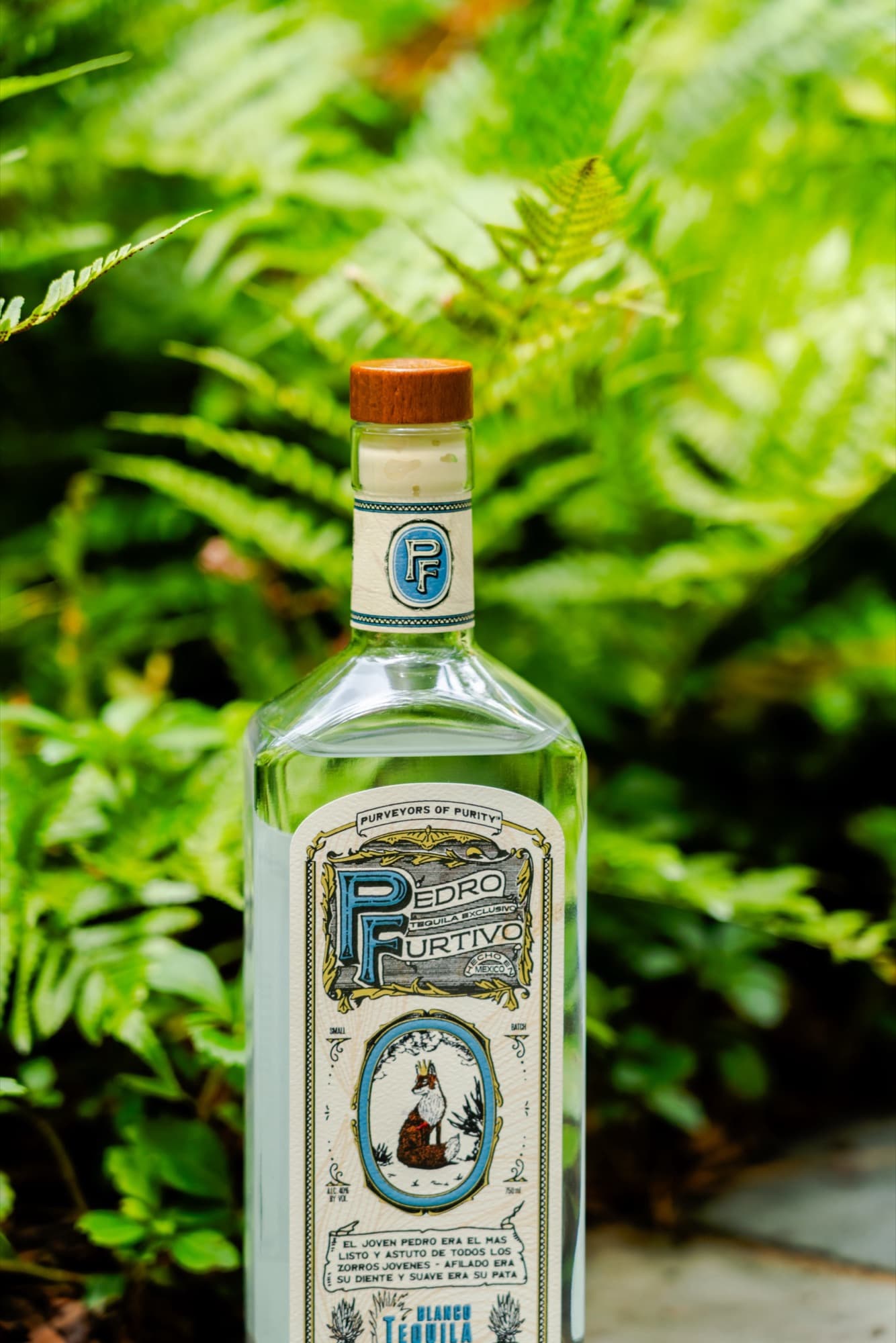 Close-up of a Pedro Furtivo Blanco bottle among ferns