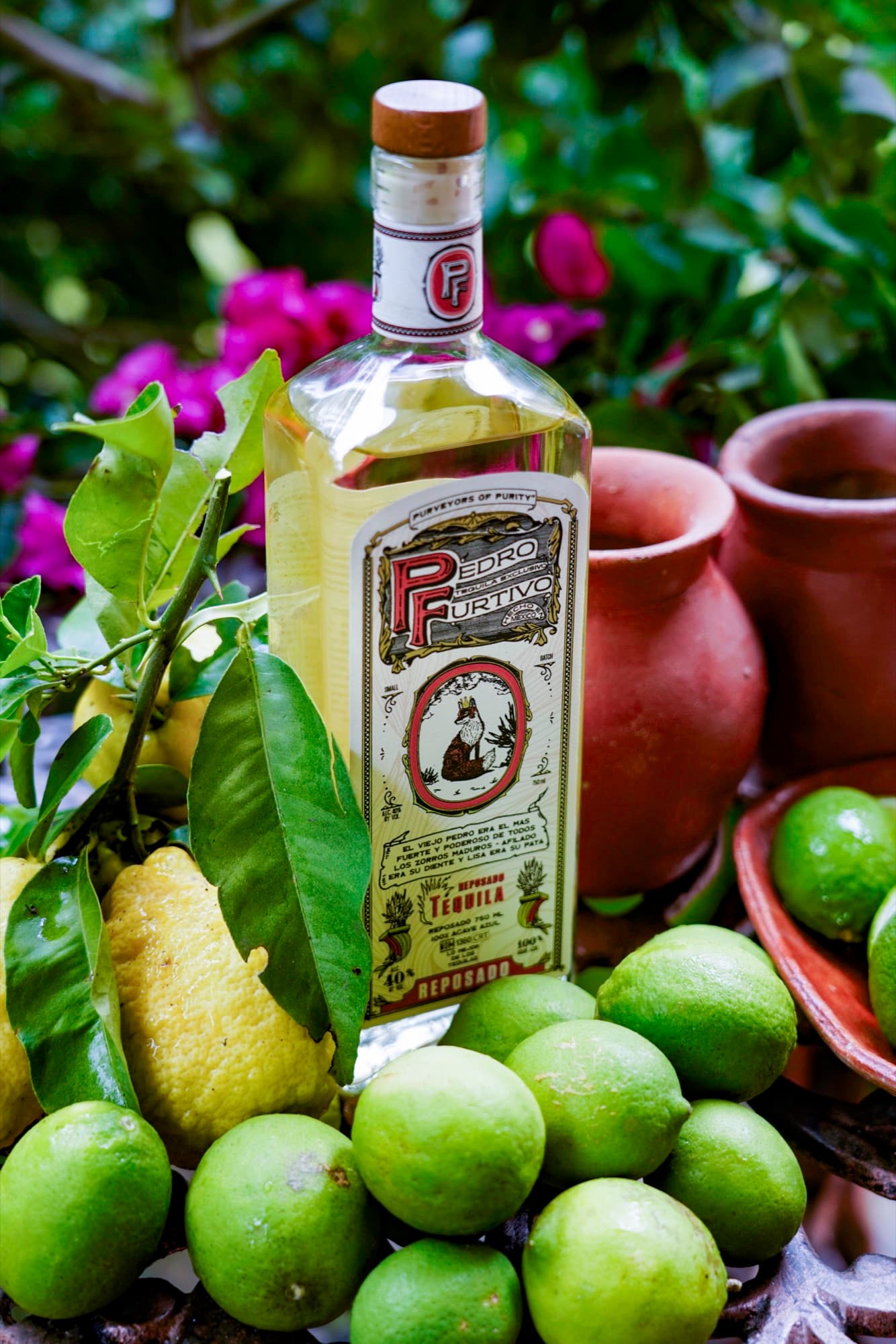 Pedro Furtivo Reposado among limes, lemons, clay pots and bougainvillea