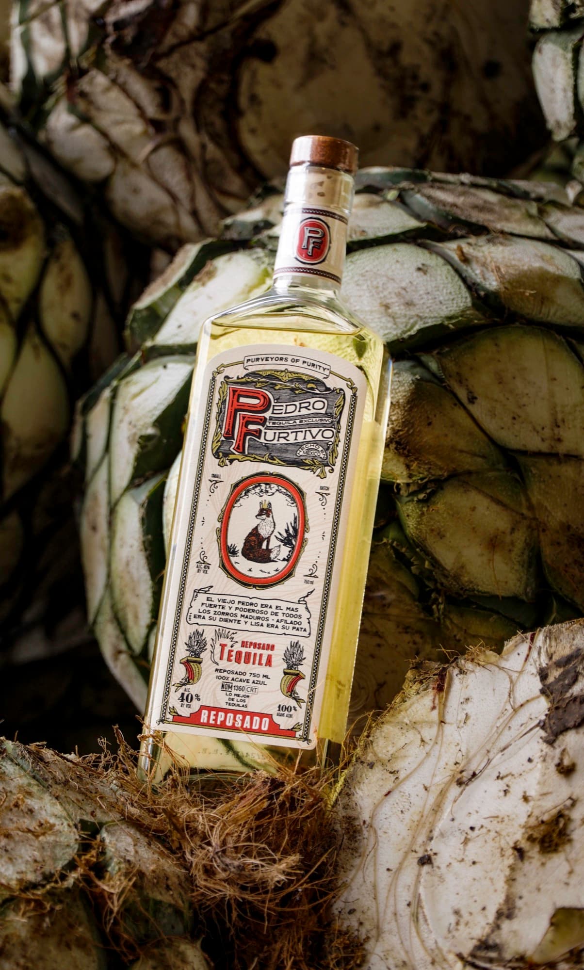 Pedro Furtivo Reposado leaning against cooked agave piñas