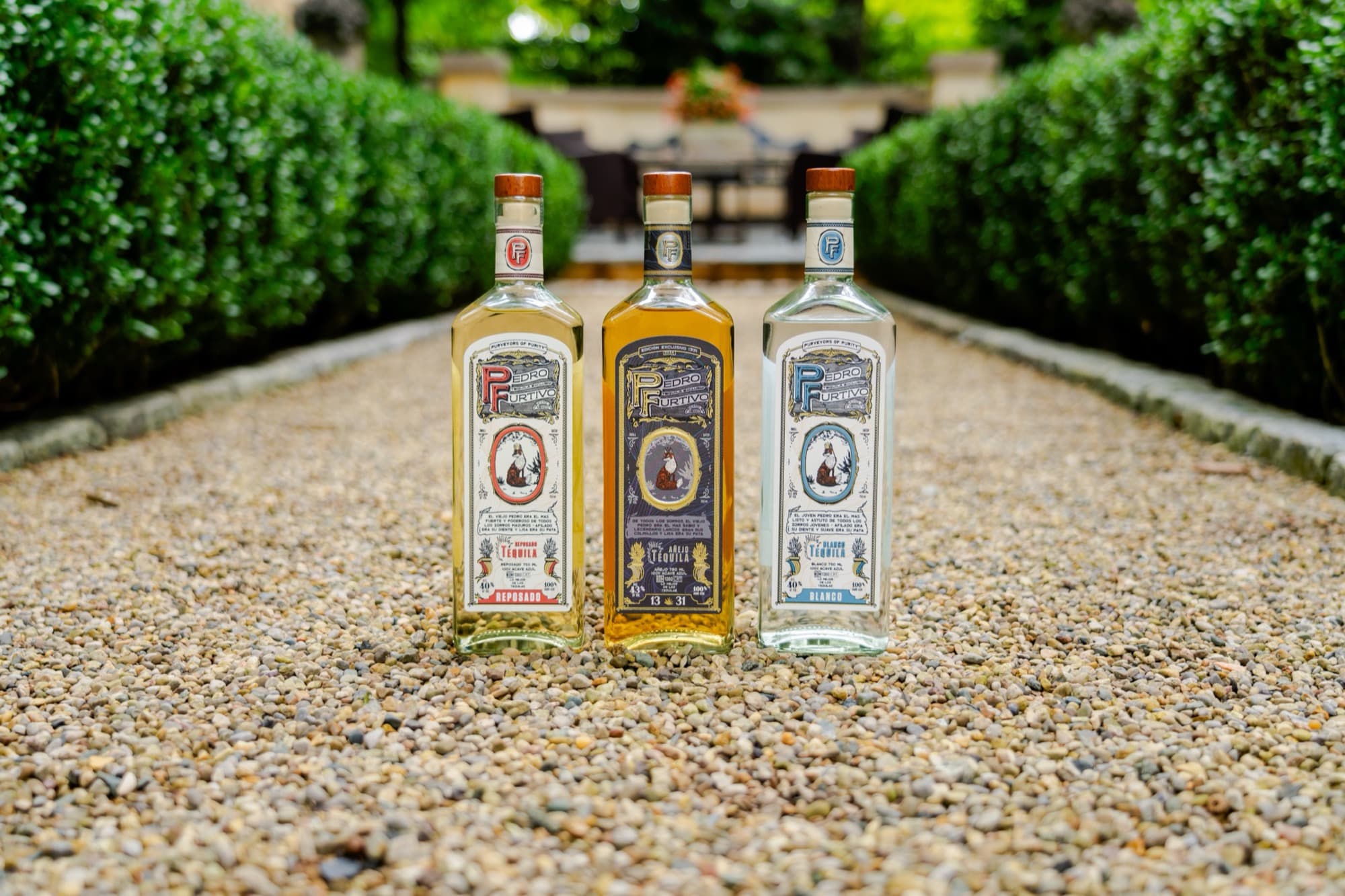 Pedro Furtivo Reposado, 1331 Añejo and Blanco side by side on a gravel garden path