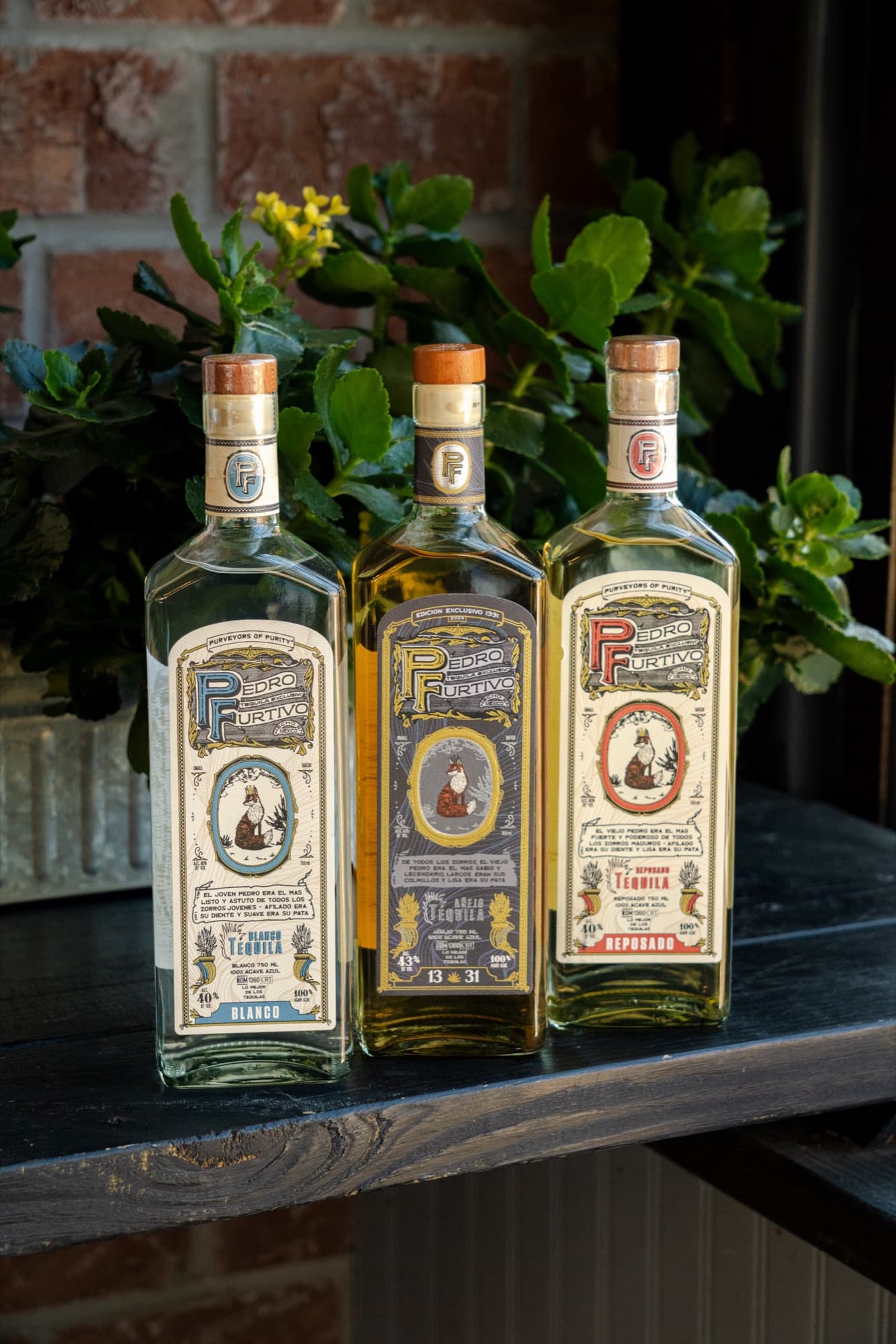 Pedro Furtivo Blanco, 1331 Añejo and Reposado together in front of green plants