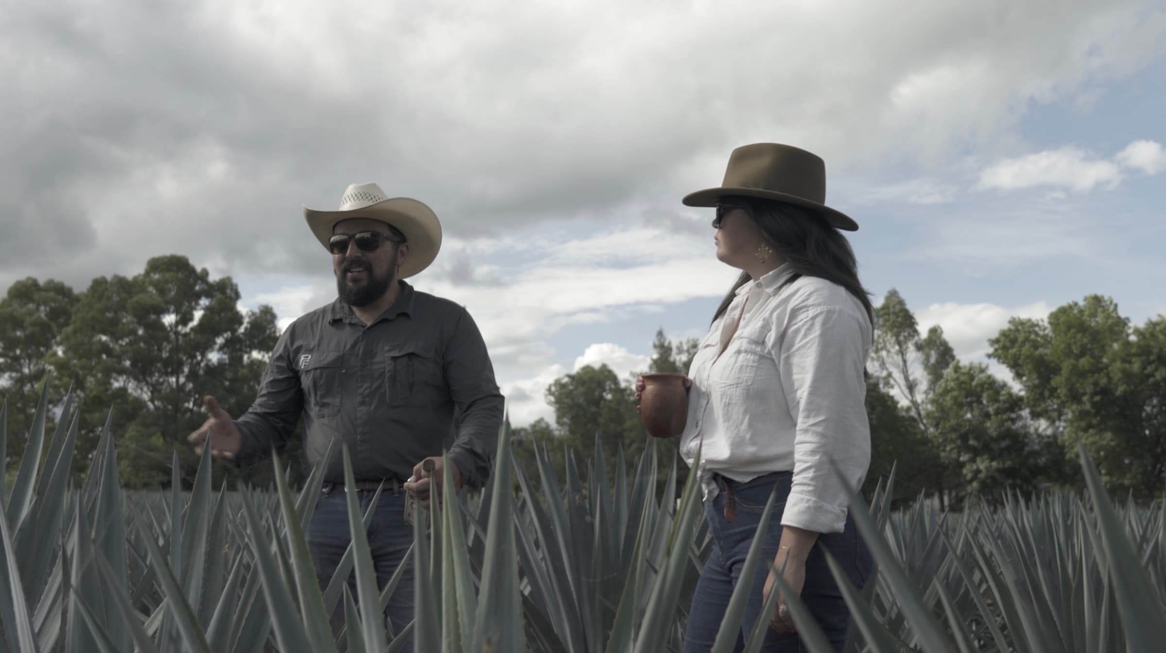 Two people in wide-brimmed hats walking through agave in the morning fog