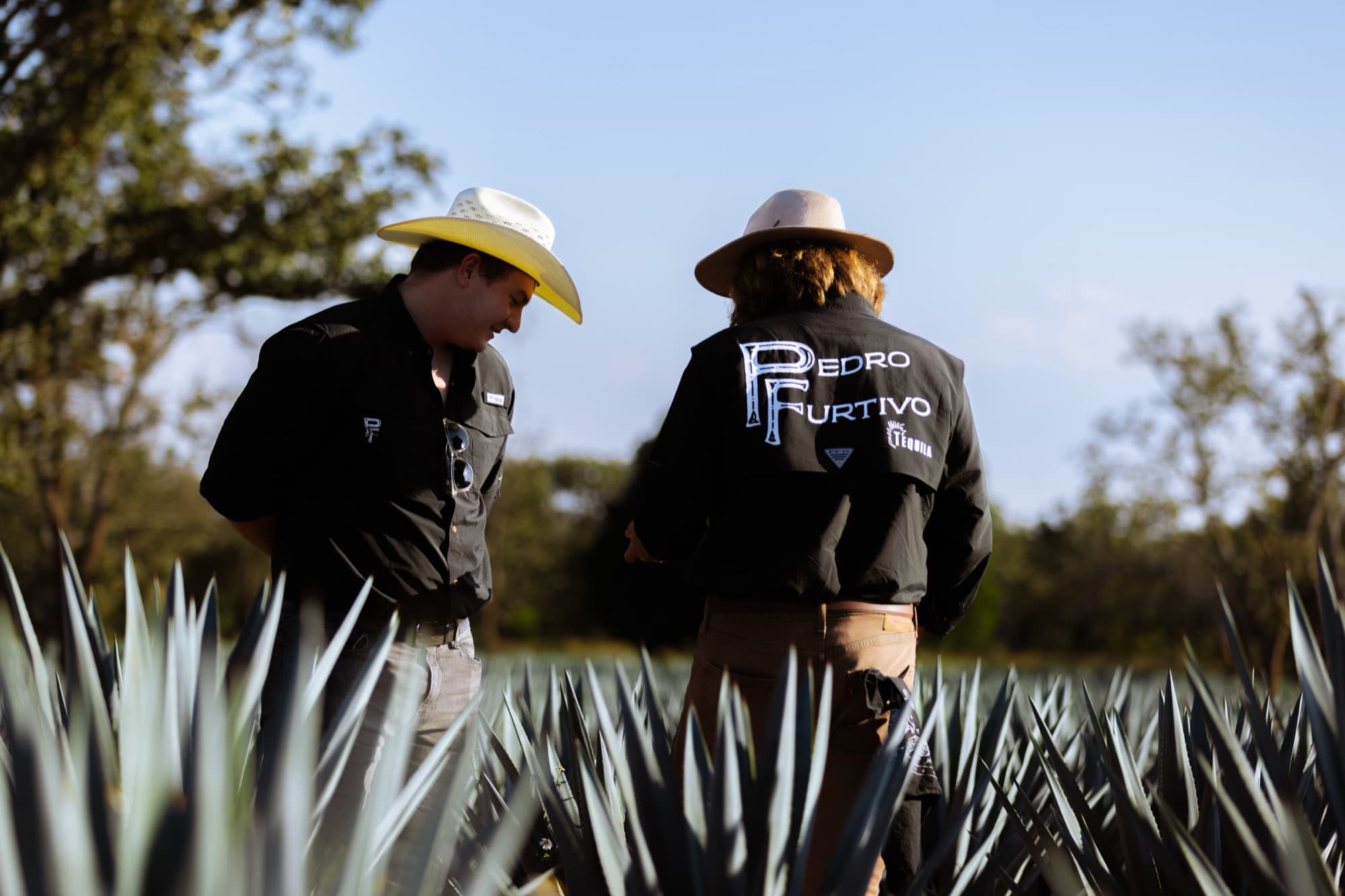 Two men in cowboy hats walking through blue agave, one in a black shirt with Pedro Furtivo across the back