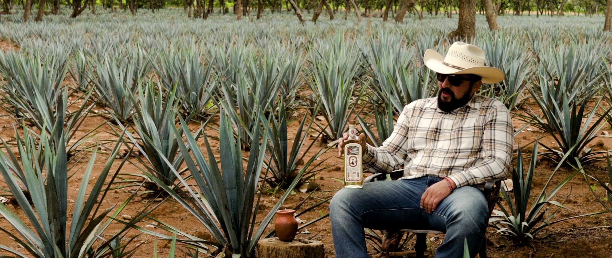 Omar Martinez seated in a plaid shirt and white hat among the agave rows, holding a bottle of Pedro Furtivo, from the Origin Story film