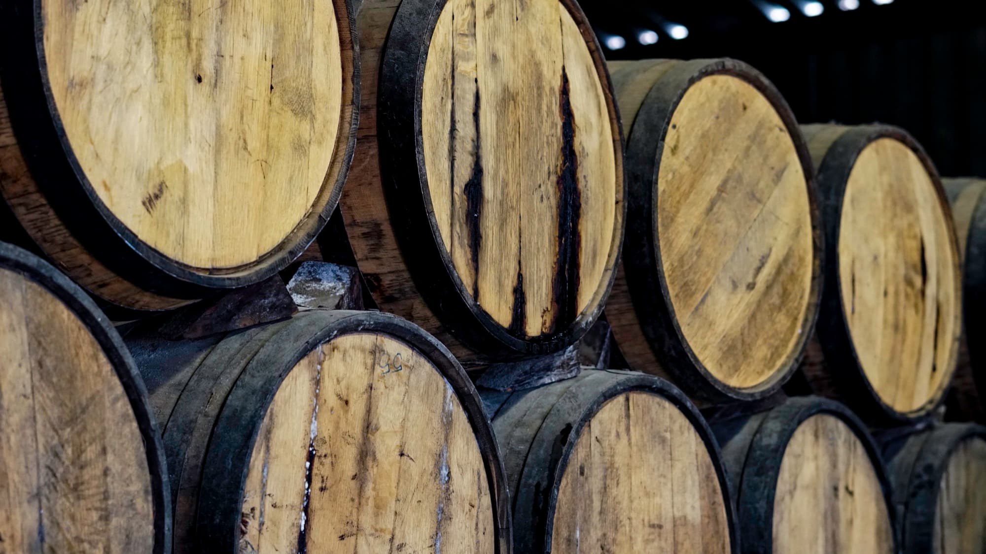A row of oak barrels resting in the barrel room