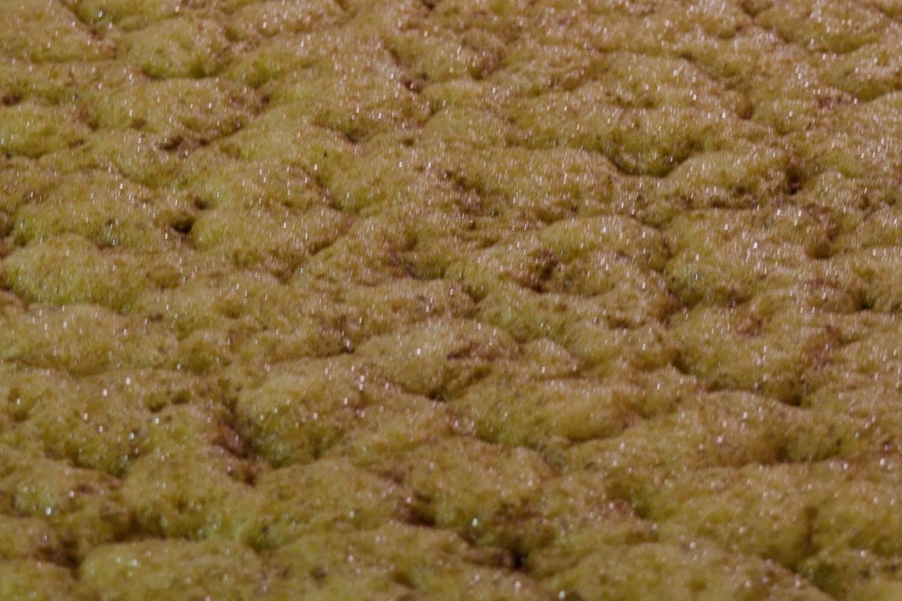 Agave juice foaming as it ferments, from the Origin Story film