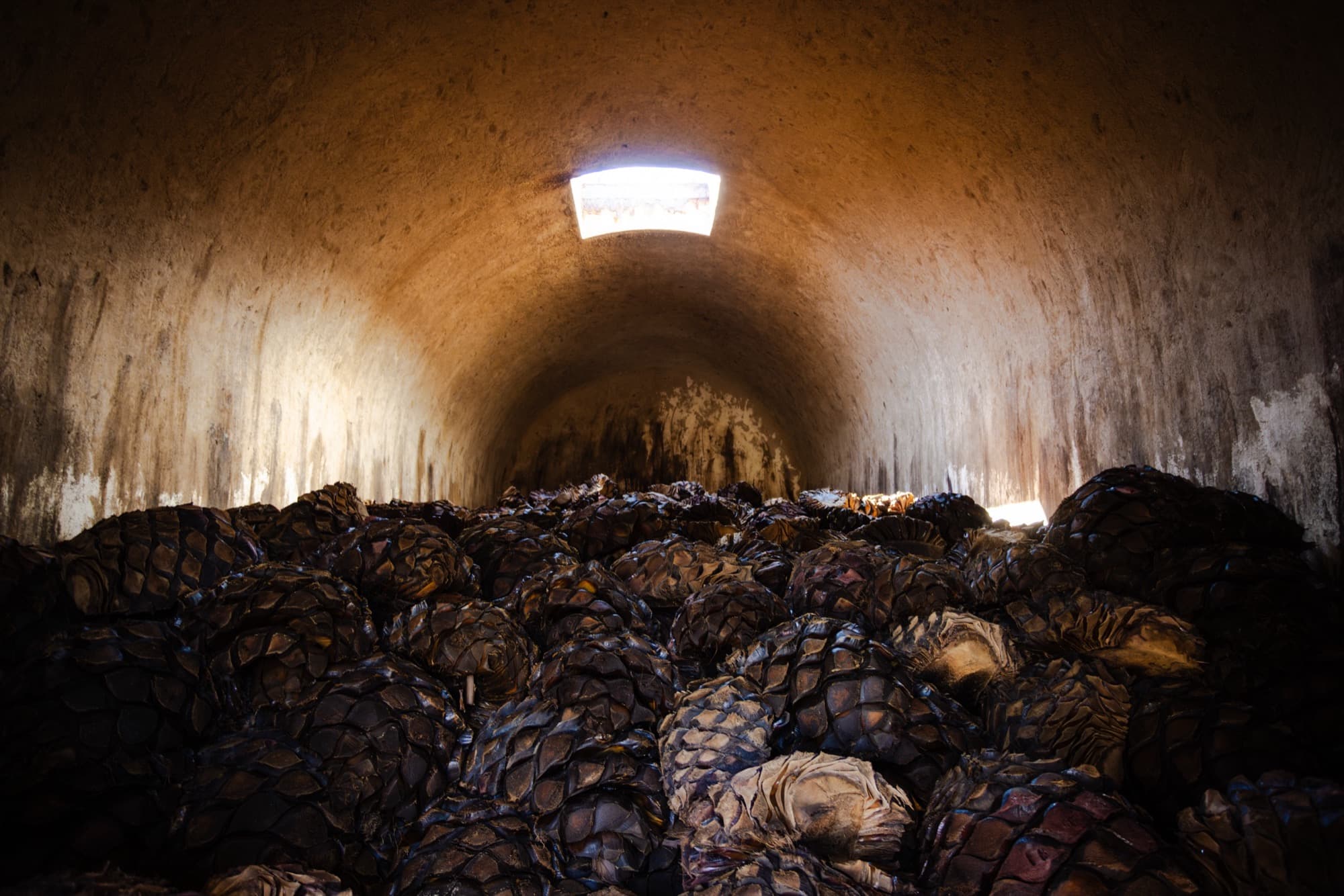 Agave piñas stacked inside a brick oven