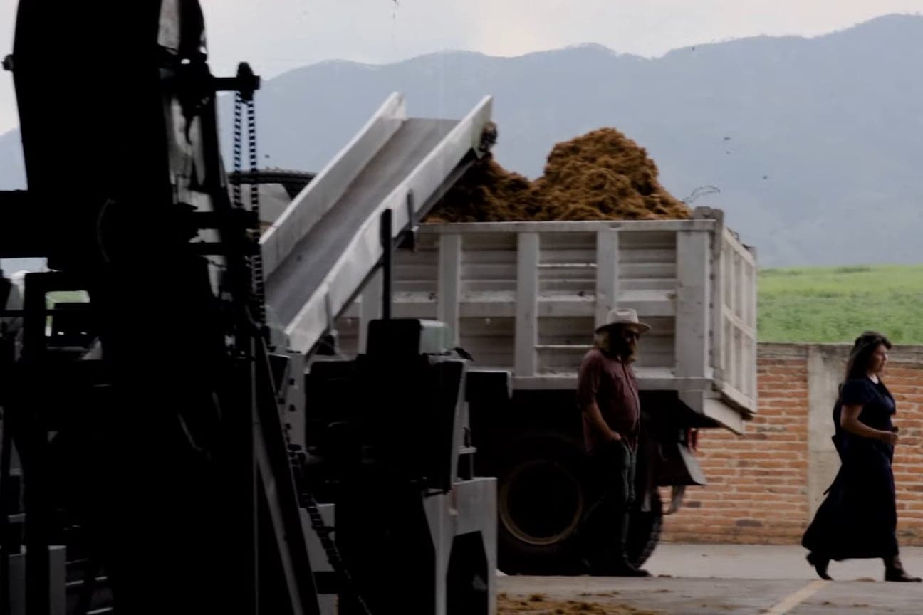 Shredded agave fiber falling from the mill's conveyor into a truck at the distillery, from the Origin Story film