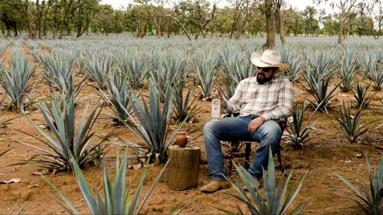 A man in a cowboy hat seated among the agave rows with a bottle of Pedro Furtivo